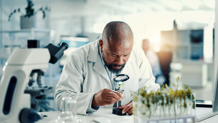Poster - Magnifying glass, leaf and research with black man in laboratory for gene function, biology and medical. Gmo editing, pharmacy innovation and cell regeneration with person for science and study