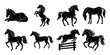 © Jubad21 - horse silhouette set. horse different poses silhouette icon vector collection, Black horse silhouettes set isolated on white background