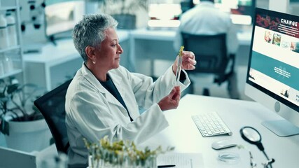 Poster - Science, computer and woman with plant sample for medical research, natural vaccines and medicine. Healthcare, pharmaceutical and scientist in test tube for study, medicinal analysis and experiment