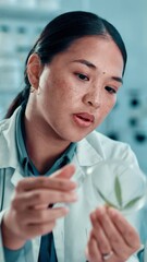 Poster - Scientist, Asian woman and plant with petri dish in laboratory for botany, medical research and discussion. Chemist, biotechnology and examine sample for pharmaceutical study or sustainable ecology