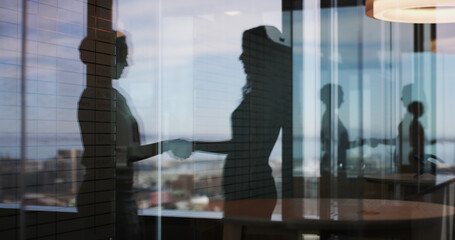 Poster - Business people, handshake and silhouette at office, window and congratulations for promotion. HR consultant, employee and shaking hands with deal, welcome or thank you with support at finance agency