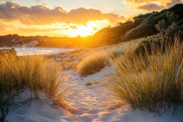 Wall Mural - Golden sunset over beach dunes with grass and sand. Perfect for travel blogs, summer themes, or coastal designs.