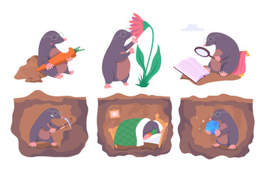 Poster - Cartoon Color Mole Animal Different Many Poses Set Concept Flat Design Style Moles Reading Book and Working. Vector illustration