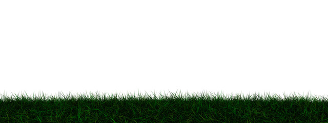Poster - Grass transparent illustration background field