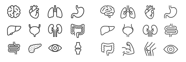 Aufkleber - Colored outline icons of human organs and systems arranged in a grid format for educational and health purposes in a modern design