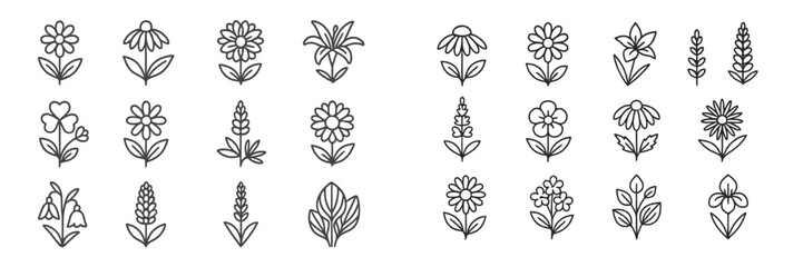 Poster - Collection of hand-drawn flower designs showcasing various styles and shapes suitable for creative projects and artistic inspiration