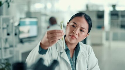 Poster - Science, inspection and woman with plant sample in lab for medical research, natural vaccines and medicine. Healthcare, pharmaceutical and scientist for gmo study, medicinal analysis and experiment