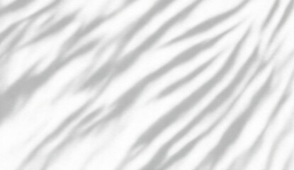 Poster - A 3D morning interior background displaying abstract window sunlight on an empty white wall with a modern panel backdrop for a sunny room space wallpaper studio