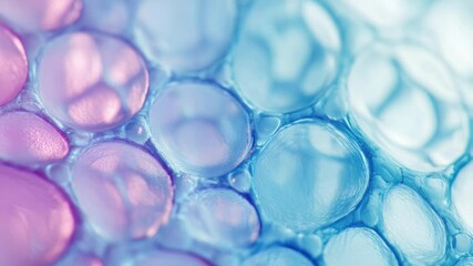 Poster - A close-up view of colorful bubbles in shades of blue and pink