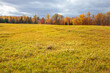 © Daniel Thornberg - Trees in autumn color alongside a field of grass in northern Minnesota on partly cloudy day