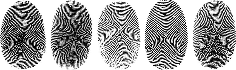 Engraved fingerprint pattern collection for security and design projects
