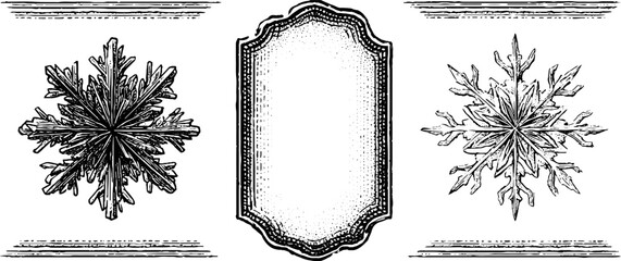 Poster - Vintage engraved ice crystal banner design for winter and holiday decorations