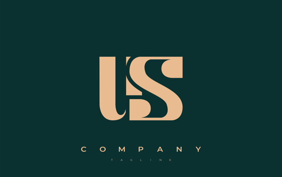 US Abstract Geometric Logo Design. Modern and elegant logo design with simplistic typography elements, showcasing branding excellence.
