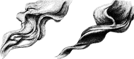 Poster - intricate engraved illustration set of smoke puff and curl for design projects
