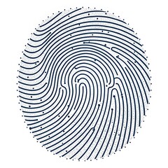 fingerprint pattern
