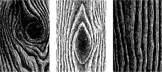 Poster - Engraved wooden texture set featuring intricate oak patterns for design projects