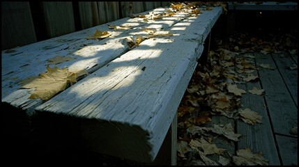 Poster - Cracked Wooden Bench Under a Tree With Golden Light and Scattered Leaves Inviting Quiet Thoughts