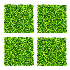 Fototapete - Set of green grass. Realistic green lawn pattern and texture for background. Artificial green grass carpet. Seamless texture.