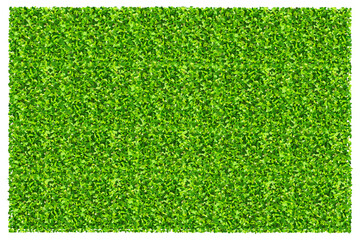 Fototapete - Green grass field background. Texture of green lawn grass. Green grass seamless texture.