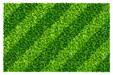Fototapete - Green grass field background for sports and recreation. Realistic green lawn pattern and texture for background.