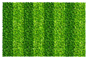 Fototapete - Green grass field background for sports and recreation. Realistic green lawn pattern and texture for background.