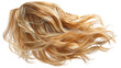 © Justlight - Long, wavy blond hair with highlights is flowing freely, giving a sense of movement and dynamism, isolated on a transparent background, perfect for beauty and hair care projects