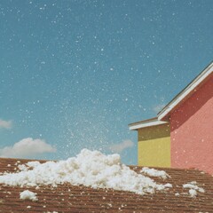 Poster - Hailstorm Impact on Asphalt Shingles during Severe Weather Highlighting Property Vulnerability and Insurance Needs in Suburban Neighborhoods