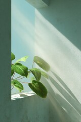Aufkleber - Minimalist Interior with Green Plants and Natural Sunlight Streaming Through Window for Calm and Eco-Friendly Modern Living Spaces