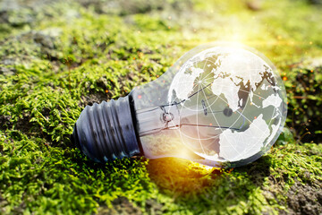 Wall Mural - Eco light bulb with earth globe graphic on green moss background, symbol of sustainable energy and environment