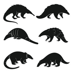 Fototapete - Silhouettes of various pangolins and anteaters isolated on white background in black and white