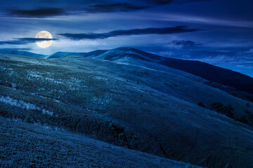 Wall Mural - mountain landscape with green meadows in summer at night. picturesque travel destination wallpaper c