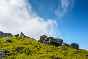 Wall Mural - boulder on a hill under blue sky with clouds in summer. huge sandstone among the grass. journey to b