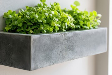 Poster - Room garden waterfall concept. Modern wall planter with vibrant green plants, adding freshness to indoor decor.