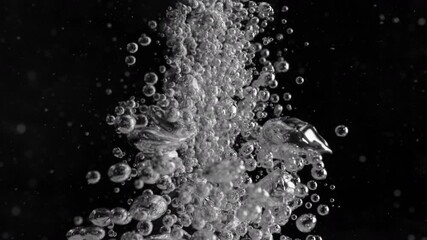 Wall Mural - super slow motion shot of air bubbles stream in water, isolated on black at 1000fps.