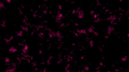 Poster - Abstract purple smoke texture on black background a dynamic grungy visual suitable for creative design and artistic projects