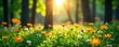 © haruki - Sun-dappled wildflowers bloom in a tranquil forest glade , meadow, lush