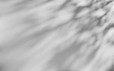 Wall Mural - abstract shadow overlay from tree branch on a transparent background.