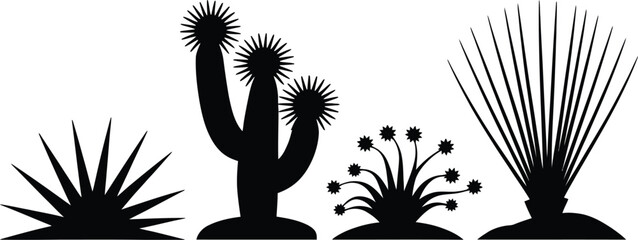Poster - Black silhouette of desert plants including cactus and yucca on a white background in vector format