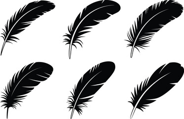 Poster - A set of six black feather illustrations arranged on a white background in a symmetrical pattern