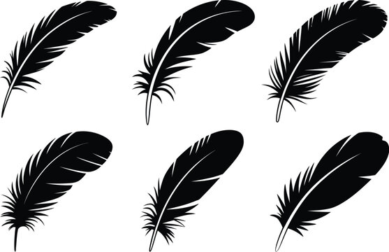 A set of six black feather illustrations arranged on a white background in a symmetrical pattern