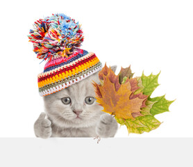 Poster - Funny kitten wearing a warm hat with pompon holding dry colorful leaves above blank white banner and showing thumbs up gesture. isolated on white background