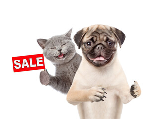 Poster - Smiling cat and Pug puppy look at camera. Dog shows thumbs up gesture. Kitten  shows signboard with labeled 