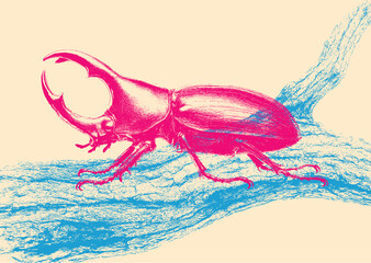 realistic stag beetle sketch on tree branch