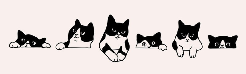Naklejka na meble Black and white cat peeking, looking out. Funny characters set. Cute emotional domestic animal. Hiding, hunting, playing, sitting, lying concept. Hand drawn Vector illustration. Isolated elements