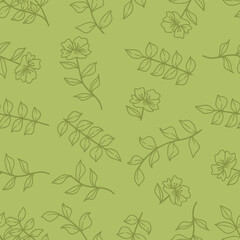 Wall Mural - Seamless pattern leaves hand drawn isolated on green background.