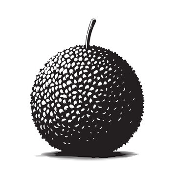 Black Arancini Silhouette Vector, High Quality Illustration on White Background