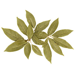 Wall Mural - bay leaves isolated on transparent background