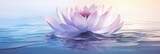 Relaxing scene with lotus flower in the water, dreamy landscapes, tranquil gardenscapes,
