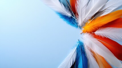 Poster - An array of bright feathers in orange, blue, and white is arranged elegantly against a soft blue background. The vibrant colors contrast beautifully, creating a lively visual appeal.