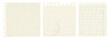 © Anchous - Ripped notebook paper sheets, lined pages from old notepad. Blanks with grunge realistic texture.